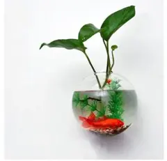 Item thumbnail for item 0e170eac-024b-44cb-b57f-5fe416ad103e