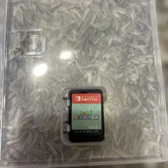 Nintendo Switchソフト あつまれどうぶつの森