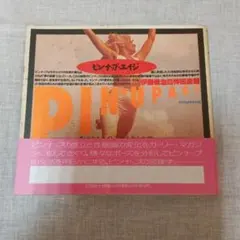 ピンナップ・エイジ 伊藤俊治・伴田良輔 リブロポート