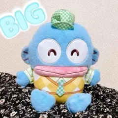 ハンギョドン　さんさんぴくにっく！ドールBIGタイプ　BIGぬいぐるみ　サンリオ