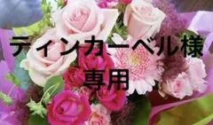 ティンカーベル様専用293.163.303