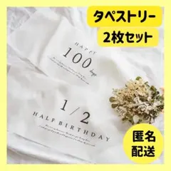 ２点　100日祝い　ハーフバースデー　タペストリー　記念写真　セルフ撮影　2枚組