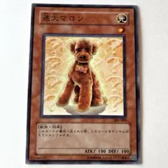 遊戯王 ノーマルレア　3期　迷犬マロン　めいけんマロン　305-009