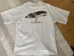 L.L.Bean×BEAMS　エル・エル・ビーン×ビームス　犬　グレー　L