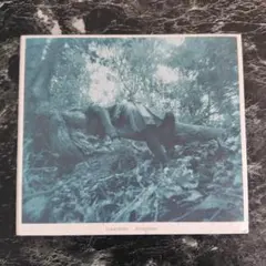 当真伊都子 Toma Itoko アルバム dreamtime ドリームタイム