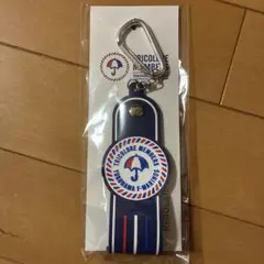 横浜Fマリノス REGULAR TRICOLORE MEMBERS キーチェーン