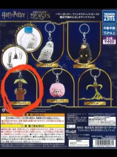 ハリー・ポッター 魔法生物めじるし ガチャ マンドレイク ピケット 2種