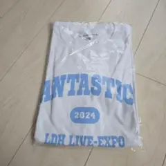FANTASTICS Tシャツ　Lサイズ