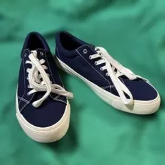 Item thumbnail for item 508527f0-958e-4aea-9bab-166cdd7a262f