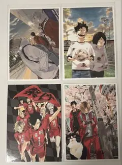 ハイキュー ポストカード 音駒高校 4枚セット