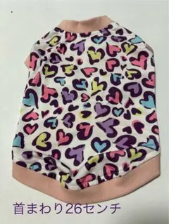 Item thumbnail for item 46058f72-50bb-41da-9404-bfb4658cd0fa