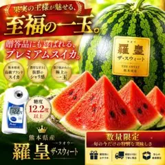 即発送 熊本県産 羅王ザ・スウィート プレミアムスイカ - メルカリ