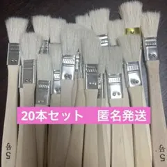 Item thumbnail for item 55065d38-ff1e-437c-97b2-2c79bcc3ffbf