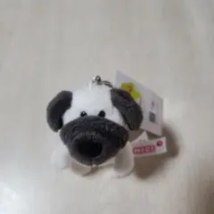 Item thumbnail for item afd1310f-22b7-4f14-bc16-a75745b3c062