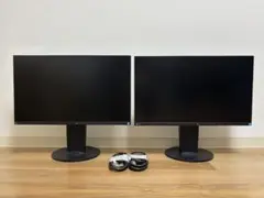 EIZO Flex scan EV2450 2枚