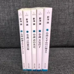 秒速5センチメートル 文学・小説