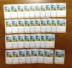 【匿名】ジュン　36枚　まとめ売り　トレーナーズ　サポート　ポケカ