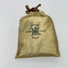 嵐 レインポンチョ BLAST in Miyagi 宮城