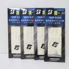 Item thumbnail for item f776749b-9b44-4863-8dae-d98bbf4c8667