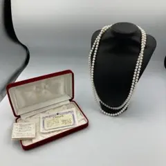 Item thumbnail for item d68ba5e5-3f0d-4215-9463-cc06d95a868b