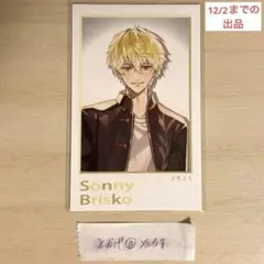 【12/3までの出品】SitR 上海　サニー　チェキ1枚