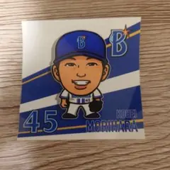 横浜DeNAベイスターズ 森原康平 45