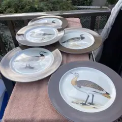 The Haldon Group Omomixx boothbay 5枚セット