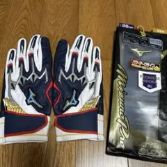 Mizuno Pro バッティング用手袋 ダイバーシティラベル 26cm
