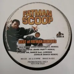 Fatman Scoop Best of Fatman Remixes