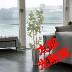 光触媒　人工観葉植物　フェイクグリーン　スリムシーグレープ1.6のサムネイル