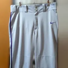 Nike Dri-FIT M グレー/パープル