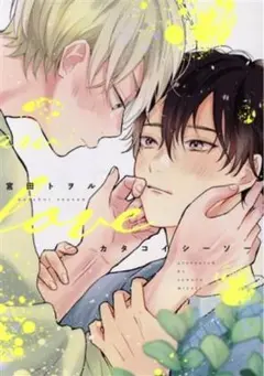 BLコミック カタコイシーソー