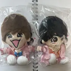 大西流星 なにわ男子 ちびぬい ペンライト まとめ売り - メルカリ
