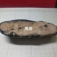 珪化木　「シャケの切り身のような」管理No.70502