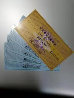 ゼビオホールディングス株主優待券