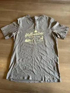 【L.L.Bean 】イエローストーン Tシャツ Mサイズのサムネイル