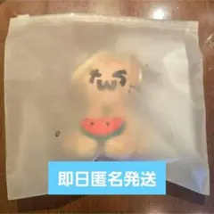 TWS SODASODA PLUSH KEYRING日焼けトゥニャンイトゥゴミ - メルカリ