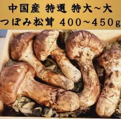 北海道　松茸　350g　② 数量限定】北海道の雪解け！天然国産松茸（140g）：北海道産の