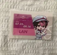 シクフォニ　富士急　ステッカー　富士急ハイランド　LAN