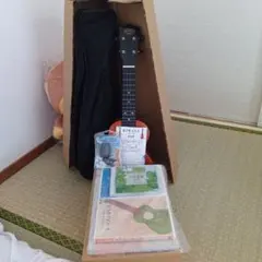 Item thumbnail for item 9e1639a7-4955-4687-9f16-365b1201ad48