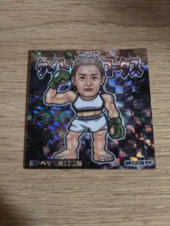 RIZINシリーズ韓国 ケイトロータス シール