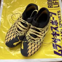 Item thumbnail for item 67950e5d-10c5-4c21-9e9c-7be0030b608e