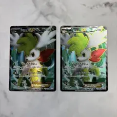 【CL横浜プロモ】ブレイブバングル・ミュウツーex・シェイミ セット・エネルギー CL横浜プロモ】ブレイブバングル・ミュウツーex・シェイミ