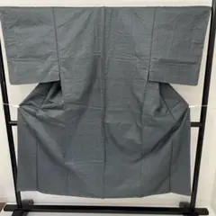 男着物 亀甲 裄66.5 紬 上品な色味 正絹 i-3965