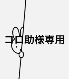 コロ助様 リクエスト 3点 まとめ商品