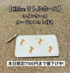 フラグメントケース コインケース