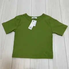タグ付き　新品　グリーン リブ半袖Tシャツ