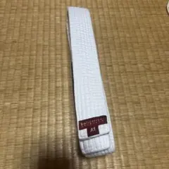 ブルテリア 柔術 白帯 A1サイズ