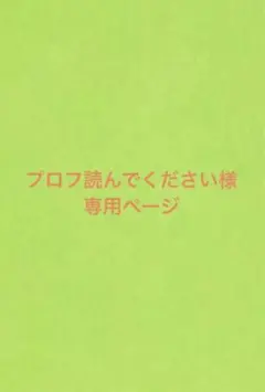 プロフ読んでください様専用ページ