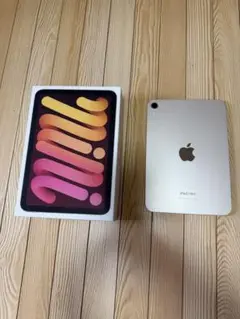 Apple iPad mini A17pro 第7世代　128gb 本体